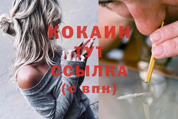 мяу мяу мука Алзамай