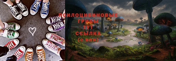 мяу мяу мука Алзамай
